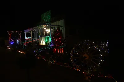 DSC_6766 (Large).JPG